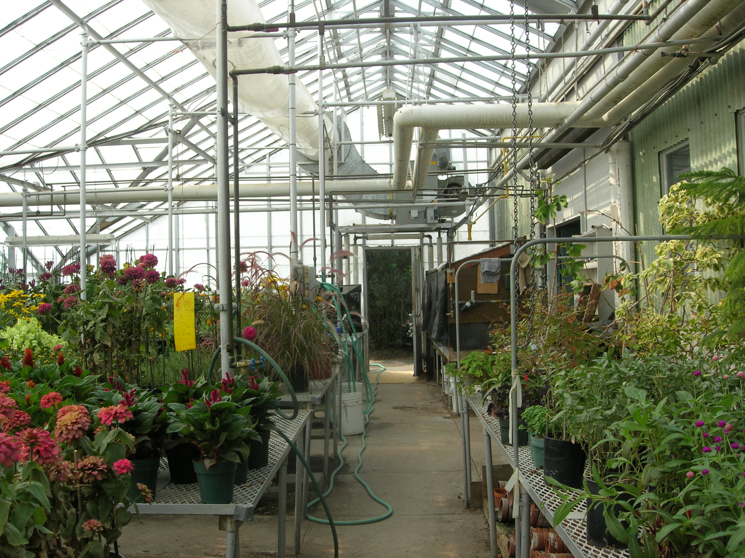 City Greenhouses Saskatoon.ca